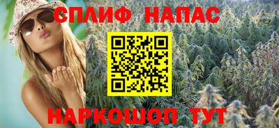 бошки Тверь