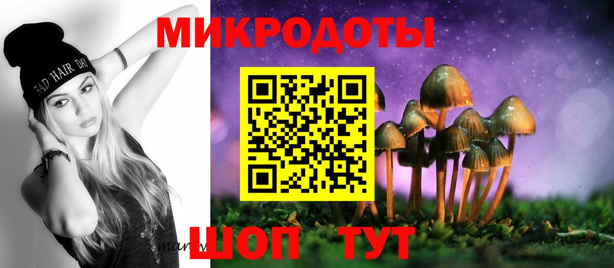 Слободской  Галлюциногенные грибы Psilocybe  Галлюциногенные грибы Psilocybe  Вход с VPN 